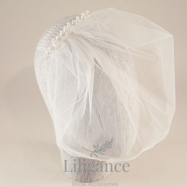 Ellen Simple Birdcage Veil