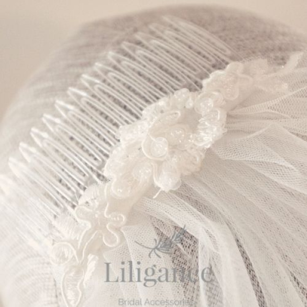 Elaine Embellished Edge Birdcage Veil